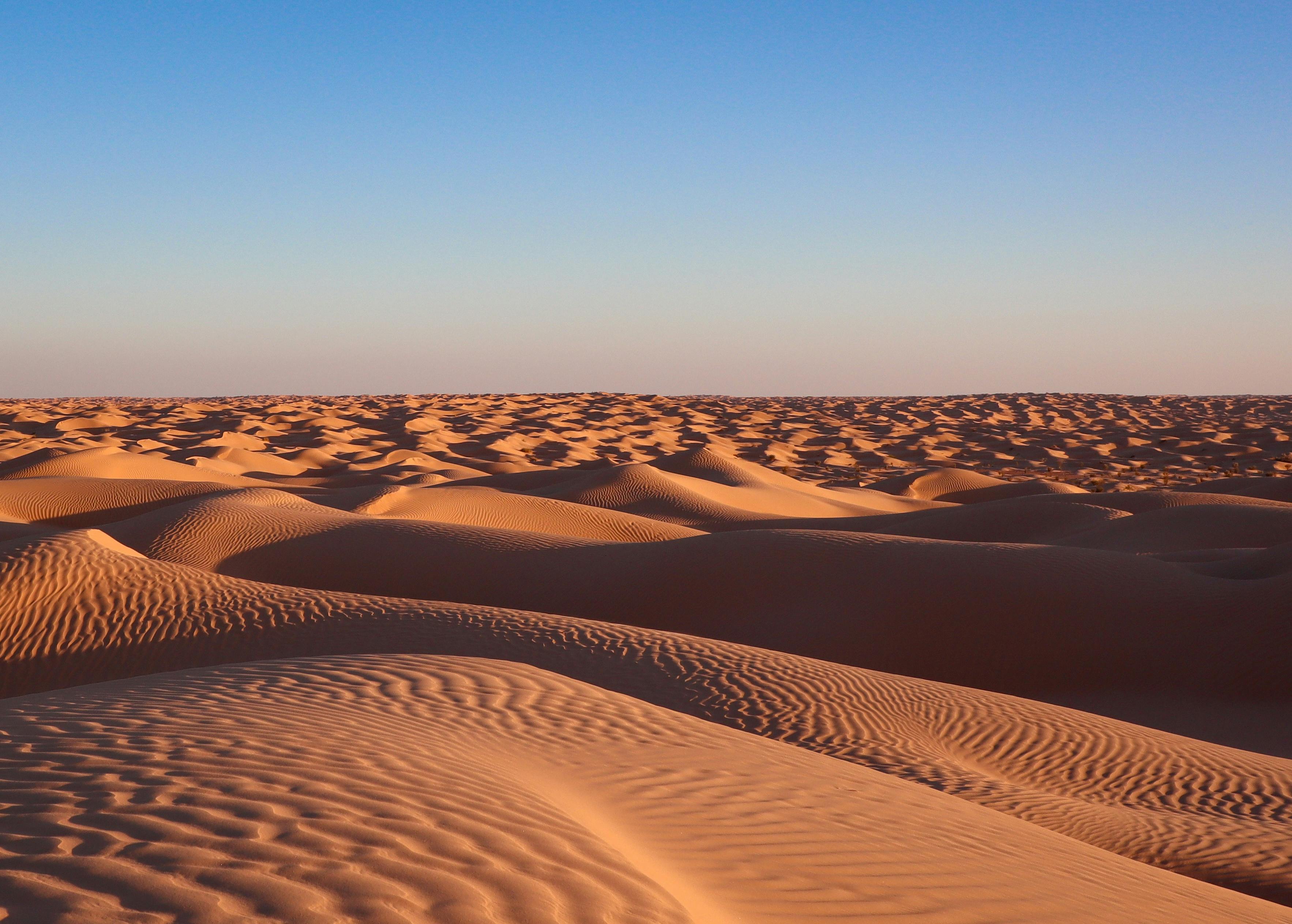 Désert du Sahara sous le soleil couchant