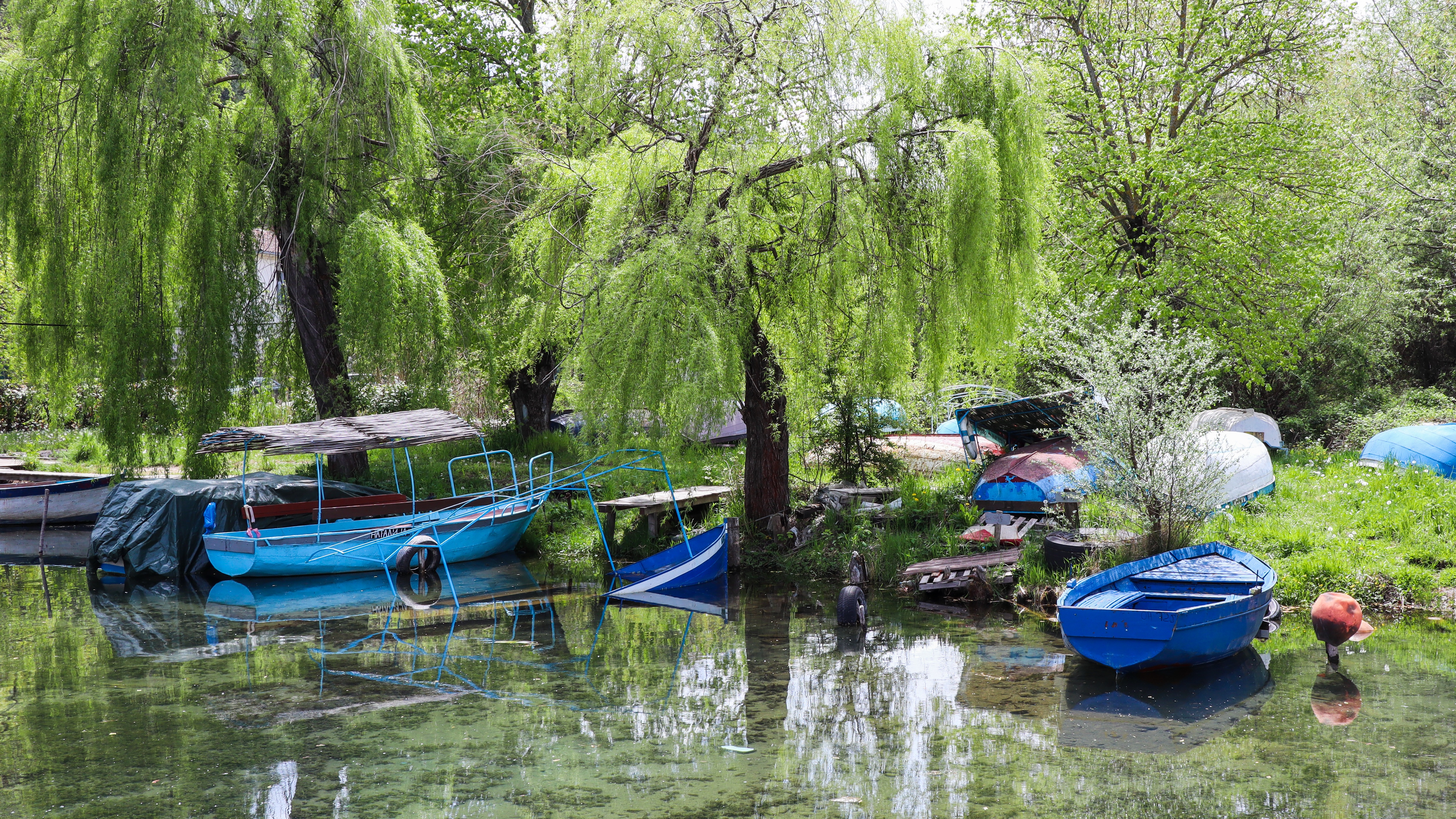 Barque dans la lagune Biljana d'Ohrid