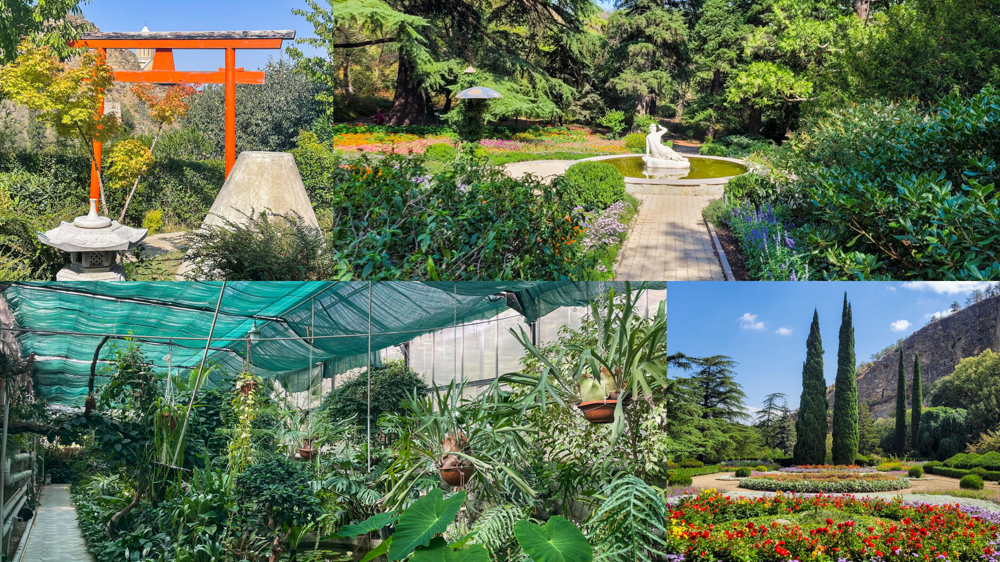Passage au jardin botanique : Jjardin japonais, français et serre tropicale